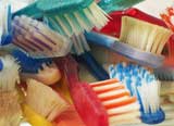 microbes on your toothbrush