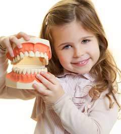 paediatric dentistry